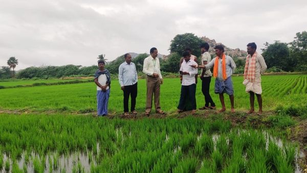 ಮುಂಗಾರು ಬೆಳೆ ಸಮೀಕ್ಷೆ ರೈತರಿಗೆ ಸಹಕಾರಿ ಹೇಗೆ? 