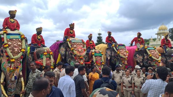 Mysuru Dasara 2023: ಅದ್ಧೂರಿ ಸ್ವಾಗತದೊಂದಿದೆ ಅರಮನೆ ಪ್ರವೇಶಿಸಿದ ಗಜಪಡೆ