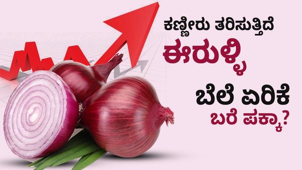 Onion Price: ಕಣ್ಣೀರು ತರಿಸುತ್ತಿದೆ ಈರುಳ್ಳಿ, ಬೆಲೆ ಏರಿಕೆ ಬರೆ ಪಕ್ಕಾ?