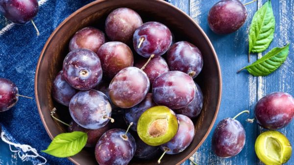 Plum Fruit Health Benefits: ಈ ಪುಟ್ಟ ಹಣ್ಣಿನ ಆರೋಗ್ಯಕರ ಪ್ರಯೋಜನ ತುಂಬಾ ದೊಡ್ಡದು