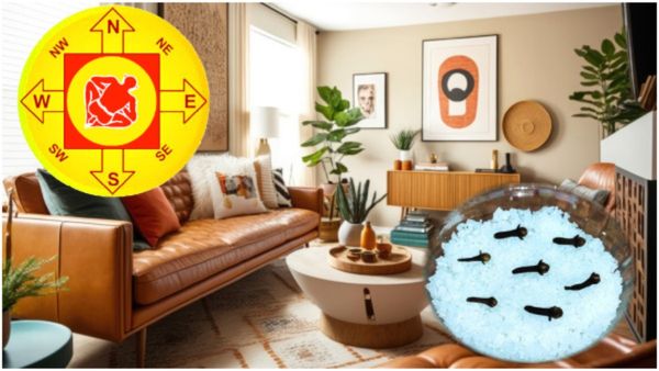 Vastu Tips For Money: ಹಣದ ಸಮಸ್ಯೆಗಳಿಗೆ ಅಂತ್ಯ ಬೇಕೇ? ಒಂದು ಪಾತ್ರೆಯಲ್ಲಿ ಉಪ್ಪು ಮತ್ತು ಲವಂಗ ಹಾಕಿ ಈ ಸ್ಥಳದಲ್ಲಿ ಇರಿಸಿ!
