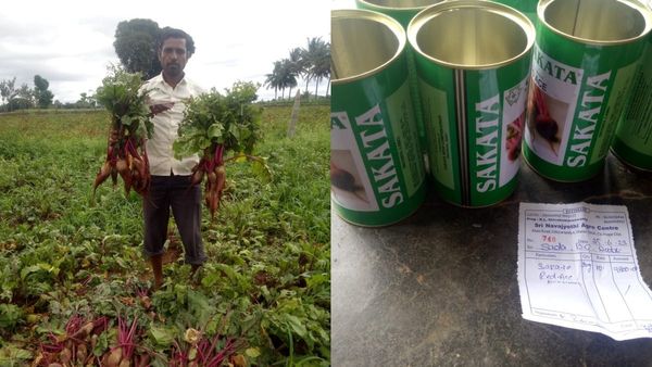  ಹನೂರು: ಬಿತ್ತಿದ್ದು ಬೀಟ್ರೋಟ್ ಬೀಜ, ಬಂದಿದ್ದು ಮೂಲಂಗಿ, ಅಂಗಡಿ ಮಾಲೀಕನ ಯಡವಟ್ಟಿನಿಂದ ರೈತನಿಗೆ ಎದುರಾದ ಸಂಕಷ್ಟ