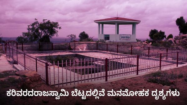  Weekend Getaway: ಚಾಮರಾಜನಗರ ಜಿಲ್ಲೆಯ ಕರಿವರದರಾಜಸ್ವಾಮಿ ಬೆಟ್ಟದಲ್ಲಿವೆ ಮನಮೋಹಕ ದೃಶ್ಯಗಳು, ತಲುಪುವುದೇಗೆ?, ಮಾಹಿತಿ