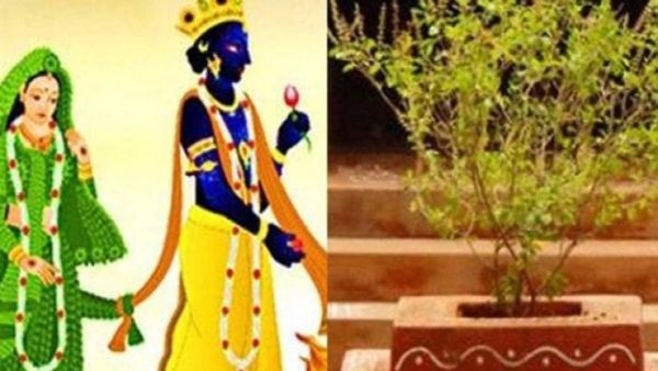 Tulsi Vivah 2023: ತುಳಸಿ ವಿವಾಹದ ದಿನಾಂಕ, ಪೂಜೆಯ ಸಂಪೂರ್ಣ ವಿಧಾನ ಇಲ್ಲಿ ತಿಳಿಯಿರಿ...