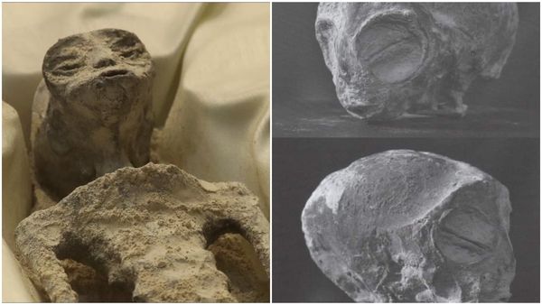 Alien: ಏಲಿಯನ್ ಶವಗಳನ್ನು ನೋಡಿದ್ದೀರಾ? ಮೆಕ್ಸಿಕೋದಲ್ಲಿ ಏಲಿಯನ್‌ ಶವಗಳ ಪ್ರದರ್ಶನ