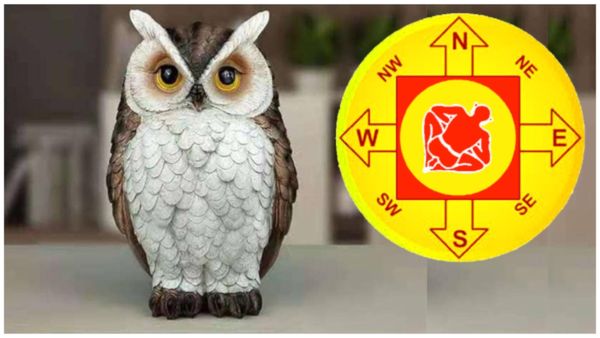 ಮನೆಯಲ್ಲಿ ಗೂಬೆಯ ಪ್ರತಿಮೆ ಇಡಬಹುದೇ? ಈ ಪ್ರಶ್ನೆಗೆ ಇಲ್ಲಿದೆ ಉತ್ತರ..