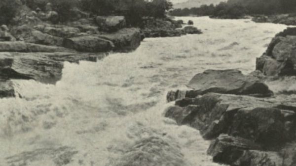 Cauvery Dispute: ತಮಿಳುನಾಡು ವಿರುದ್ಧ ಸೆ.13ಕ್ಕೆ ವಾಟಾಳ್ ನಾಗರಾಜ್ ಪ್ರತಿಭಟನೆ