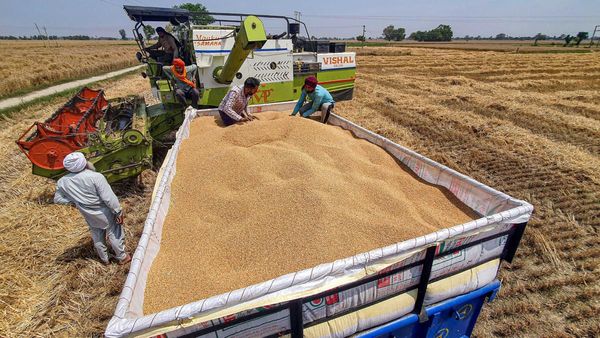 ಗೋಧಿ ದಾಸ್ತಾನಿನ ಮೇಲೆ ಮಿತಿಯನ್ನು ಹೇರಿದ ಕೇಂದ್ರ ಸರ್ಕಾರ