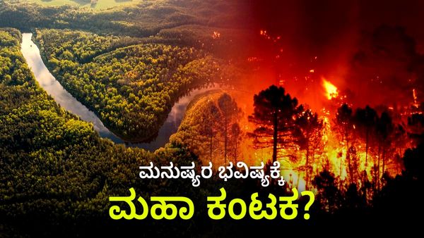 Amazon River: ಮನುಷ್ಯರ ಭವಿಷ್ಯಕ್ಕೆ ಎದುರಾಯ್ತು ಮಹಾ ಕಂಟಕ? ಕೆಲವೇ ವರ್ಷದಲ್ಲಿ ಭೂಮಿ ಮೇಲೆ ಜೀವಿಗಳ ಸರ್ವನಾಶ?