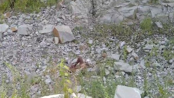 ಚಿಕ್ಕಮಗಳೂರು: ಹೊಲದಿಂದ ಬರುವಾಗ ದಿಢೀರ್ ಡೈನಮೈಟ್ ಸ್ಫೋಟ, ರೈತನ ಕಾಲು ಕಟ್‌