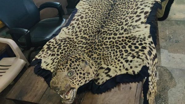 ಹುಲಿ ಚರ್ಮದ ಮೇಲೆ ಕುಳಿತಿರುವ ಫೋಟೋ ವೈರಲ್: ದತ್ತಪೀಠದ ಶಾಖಾದ್ರಿ ನಿವಾಸಕ್ಕೆ ನೋಟಿಸ್