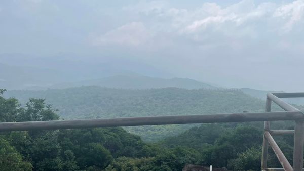 ಅರಣ್ಯ ಪ್ರದೇಶದ 1 ಕಿ. ಮೀ. ವ್ಯಾಪ್ತಿಯಲ್ಲಿ ಕಟ್ಟಡ ನಿರ್ಮಾಣಕ್ಕೆ ಒಪ್ಪಿಗೆ