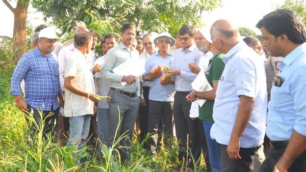 ಕೊಪ್ಪಳ; ಕೇಂದ್ರ ತಂಡದಿಂದ ಸಾಮಾನ್ಯ ಬರದ ಜತೆಗೆ ಹಸಿರು ಬರದ ಅವಲೋಕನ 