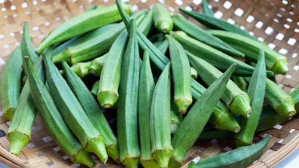 Health Benefits of Lady finger: ಬೆಂಡೆಕಾಯಿಯನ್ನು ಬೇಡ ಅನ್ಬೇಡಿ ಯಾಕೆಂದರೆ ಇದರಲ್ಲಿ ಇವೆ ಅನೇಕ ಪೋಷಕಾಂಶಗಳು...