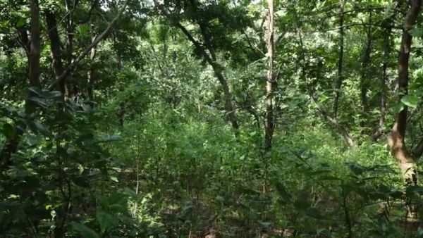 ಉಗ್ರರ ಅಡಗುತಾಣವಾಗುತ್ತಿದೆಯಾ ಹುಬ್ಬಳ್ಳಿ-ಧಾರವಾಡ?: ಪೊಲೀಸರಿಂದ ತೀವ್ರ ಶೋಧ