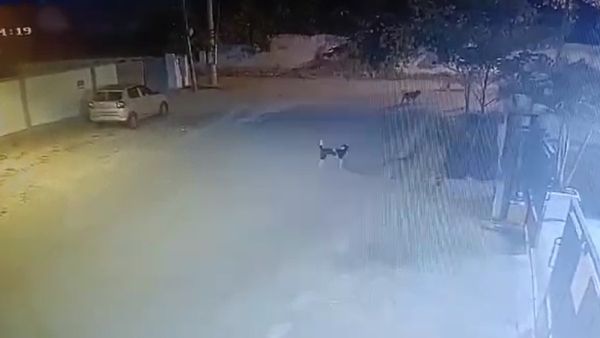 ಬೆಂಗಳೂರಿನ ಜನತೆಗೆ ಮತ್ತೆ ನಡುಕ ಹುಟ್ಟಿಸಿದ ಚಿರತೆ