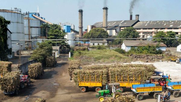 ಬೆಳಗಾವಿ; ನ. 1ರ ನಂತರ ಕಬ್ಬು ನುರಿಸುವ ಕಾರ್ಯ ಆರಂಭ
