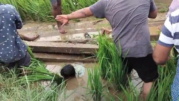 ಮೂರು ಕಂಬಗಳು ಮೈಮೇಲೆ ಬಿದ್ದರೂ ಅದೃಷ್ಟವಶಾತ್‌ ಬದುಕುಳಿದ ಯುವಕ: ಅಷ್ಟಕ್ಕೂ ನಡೆದಿದ್ದೇನು?