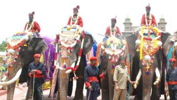 ಸುಗ್ರೀವ ಸೇರಿ 4 ಹೊಸ ಆನೆಗಳಿಗೆ ಮೈಸೂರು ದಸರಾ ಜಂಬೂ ಸವಾರಿಯಿಂದ ಕೊಕ್‌