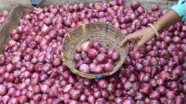 Onion Price Hike: ರಾಯಚೂರು ಜಿಲ್ಲೆಯ ಗ್ರಾಹಕರ ಕಣ್ಣಲ್ಲಿ ಕಣ್ಣೀರು ತರಿಸಿದ ಈರುಳ್ಳಿ ಬೆಲೆ, ದರಗಳ ವಿವರ ಹೀಗಿದೆ