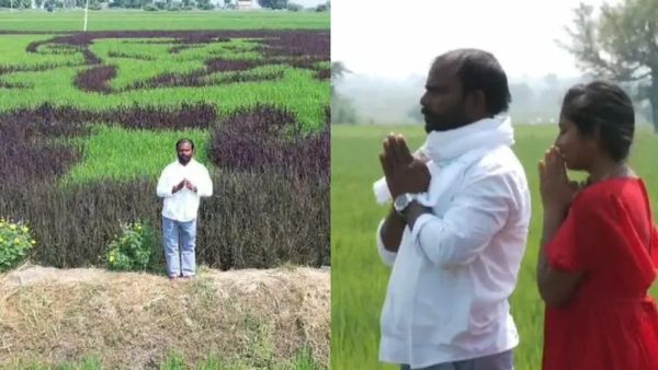 Raichur: ಭತ್ತದ ಬೆಳೆಯಲ್ಲಿ ಮೂಡಿದ ದೊಡ್ಮನೆ ಹುಡುಗ- ಅಪ್ಪು ಅಭಿಮಾನಿಯಿಂದ ವಿಭಿನ್ನ ಕಲೆ