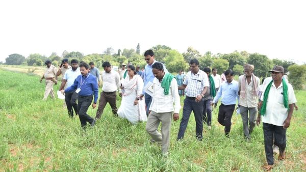 ಎಡೆದೊರೆ ನಾಡಿಗೆ ಬಾರದ ಕೇಂದ್ರ ಬರ ಅಧ್ಯಯನ ತಂಡ, ಆಕ್ರೋಶಗೊಂಡ ರೈತರು