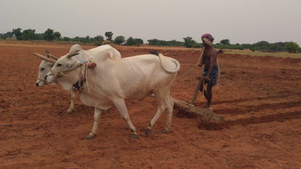 ಜಮೀನಿಗೆ ಹೋಗಲು ದಾರಿ ಸಮಸ್ಯೆಯೇ?, ಸರ್ಕಾರದಿಂದ ಹೊಸ ಸುತ್ತೋಲೆ 