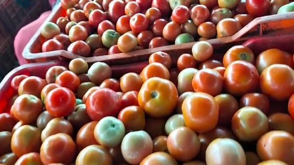  ಚಿಕ್ಕಬಳ್ಳಾಪುರ: ಕಳೆದ ತಿಂಗಳು ಗಗನಕ್ಕೇರಿದ್ದ 