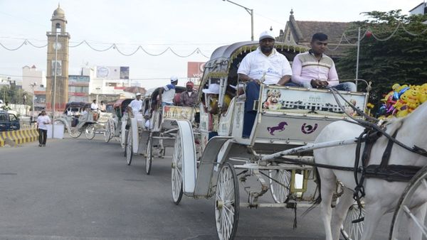 ಮೈಸೂರು: ಈ ಬಂಡಿಯಲ್ಲಿ ನೀವು ಪ್ರಯಾಣ ಬೆಳೆಸಿದರೆ ರಾಜಮರ್ಯಾದೆ..! ಇಲ್ಲಿದೆ ವಿಶೇಷತೆ