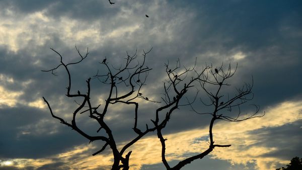 Weather forecast: ಕೇರಳದಲ್ಲಿ ಭಾರೀ ಮಳೆ ಸಾಧ್ಯತೆ- ಕರ್ನಾಟಕದ ಮಳೆ ಮುನ್ಸೂಚನೆ ಬಗ್ಗೆಯೂ ತಿಳಿಯಿರಿ