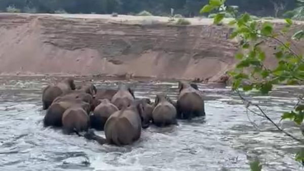 ಚಾಮರಾಜನಗರ: ಕಾವೇರಿ ಮಡಿಲಲ್ಲಿ ಮಿಂದೆದ್ದ 