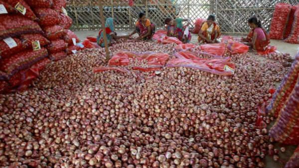ಮಾರುಕಟ್ಟೆ ದಲ್ಲಾಳಿಗಳಿಗೆ ಮಾತ್ರ ಲಾಭ: ಈರುಳ್ಳಿ ಬೆಳಗಾರರ ಅಳಲು