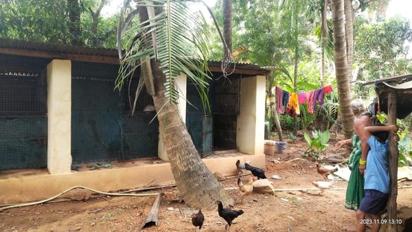 ಕಾರವಾರ: ಕೈ ಹಿಡಿದ ನರೇಗಾ ಯೋಜನೆ: ಸ್ವಾವಲಂಬಿ ಬದುಕಿಗೆ ನೆರವಾದ ಕೋಳಿ ಶೆಡ್ ..!