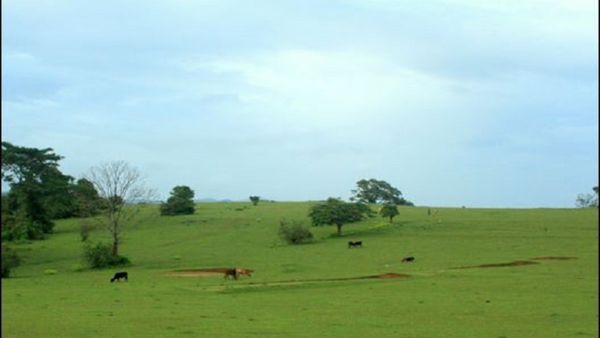 ಕೊಡಗಿನ ಬೇಳೂರು ಬಾಣೆಯಲ್ಲಿ ನಿಸರ್ಗ ಪ್ರೇಮಿಗಳಿಗೆ ರಸದೌತಣ: ಇಲ್ಲಿಗೆ ತೆರಳುವಾಗ ಈ ವಿಚಾರ ನೆನಪಿರಲಿ..!