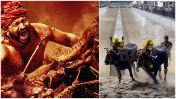 Bengaluru Kambala: ಅರಮನೆ ಮೈದಾನದಲ್ಲಿ ಚಿನ್ನ ಗೆದ್ದ 'ಕಾಂತಾರ' ಕೋಣಗಳು