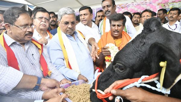 ದೀಪಾವಳಿ; ಮುಜರಾಯಿ ದೇವಾಲಯದಲ್ಲಿ ನ.14ರಂದು ಗೋ ಪೂಜೆ