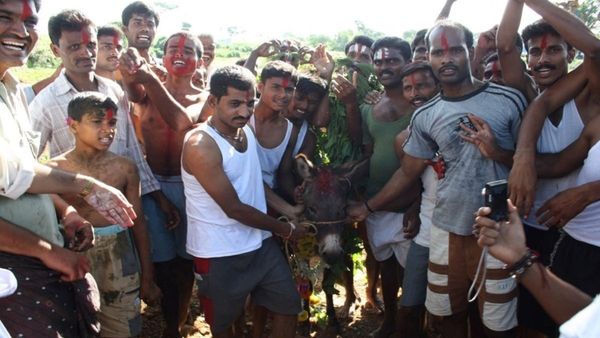 ಕತ್ತೆ ಮೇಲೆ ಚಾಡಿಕೋರನ ಮೆರವಣಿಗೆ..ಸೆಗಣಿಯಲ್ಲಿ ಬಡಿದಾಟ..ಏನಿದು ಆಚರಣೆ..?