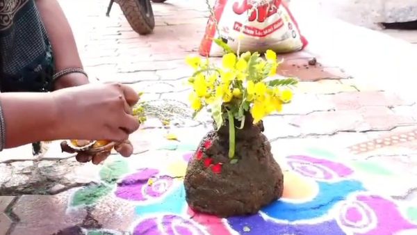 ದೀಪಾವಳಿಗೆ ಮನೆಯ ಮುಂದೆ ಸಗಣಿ ಪಾಂಡವರು: ಏನಿದು ಉತ್ತರ ಕರ್ನಾಟಕದ ವಿಶೇಷ ಆಚರಣೆ..?