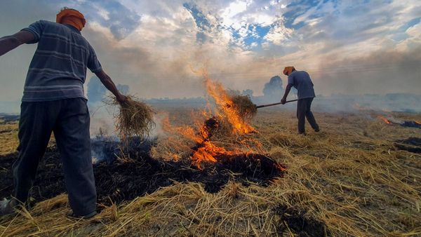 Delhi Air Pollutin: ದೆಹಲಿ ನೆರೆಯ ರಾಜ್ಯಗಳಿಗೆ ಸುಪ್ರೀಂಕೋರ್ಟ್ ತರಾಟೆ