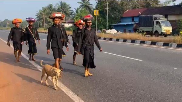 ಬೆಳಗಾವಿ ಟು ಶಬರಿಮಲೆ: ಅಯ್ಯಪ್ಪ ಸ್ವಾಮಿ ಮಾಲಾಧಾರಿಗಳ ಜೊತೆಗೆ ಶ್ವಾನದ ಪಾದಯಾತ್ರೆ