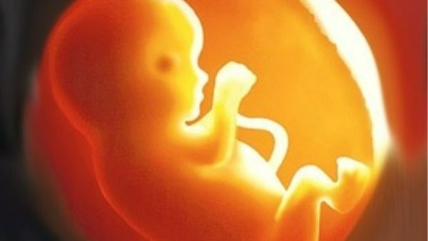 Foeticide : ಹೆಣ್ಣು ಭ್ರೂಣ ಹತ್ಯೆ ಕೇಸ್ ತನಿಖೆ ಸಿಐಡಿಗೆ ವಹಿಸಿದ ಸರ್ಕಾರ