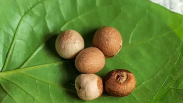 ಗದಗ: ಒಂಬತ್ತು ತಿಂಗಳ ಮಗುವಿಗೆ ಎಲೆ ಅಡಿಕೆ ತಿನಿಸಿದ ಅಜ್ಜಿ: ಹಸುಗೂಸು ಸಾವು