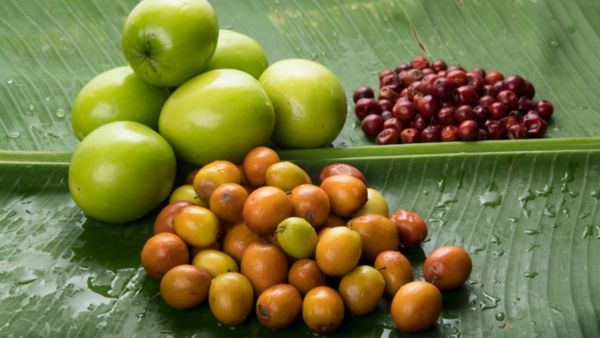 Indian jujube fruit Benefits: ಬಾರೆ.... ಬಾರೆ.... ನಿನ್ನಲ್ಲಿ ಅಡಗಿದೆ ಆರೋಗ್ಯದ ಗುಟ್ಟು...