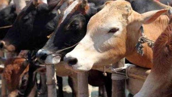 ನರೇಗಾ ಕಾಮಗಾರಿಗಳಲ್ಲಿ ಅಕ್ರಮ: ರಾಯಚೂರಿನಲ್ಲಿ ಇಬ್ಬರು ಅಧಿಕಾರಿಗಳ ವಿರುದ್ಧ ಎಫ್‌ಐಆರ್