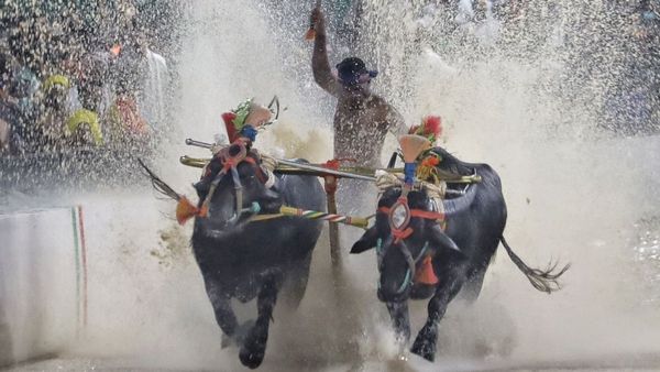Bengaluru Kambala: ಅದ್ದೂರಿ ಕಂಬಳದಲ್ಲಿ ಲಕ್ಷಾಂತರ ಮಂದಿ ಭಾಗಿ