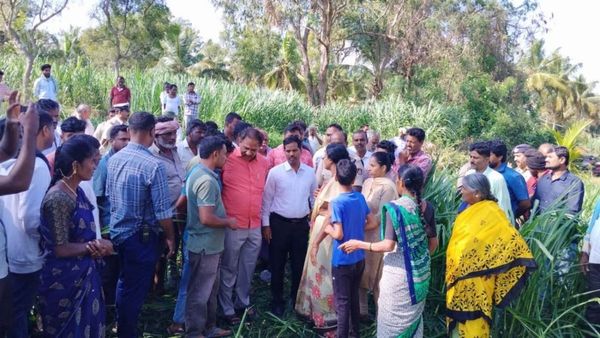 ಮಂಡ್ಯ: ಕಾಡಾನೆ ದಾಳಿಗೆ ಮಹಿಳೆ ಸಾವು, ಗ್ರಾಮಸ್ಥರ ಆಕ್ರೋಶ