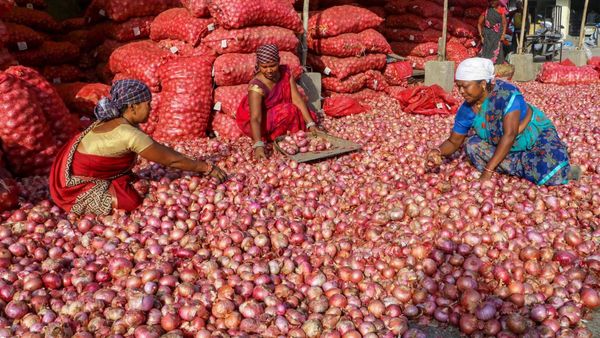 ಪ್ರತಿ ಕೆಜಿಗೆ 25 ರೂ. ನಂತೆ ಈರುಳ್ಳಿ ಮಾರಾಟ; ಎಲ್ಲಿ?, ಹೇಗೆ?, ವಿವರ