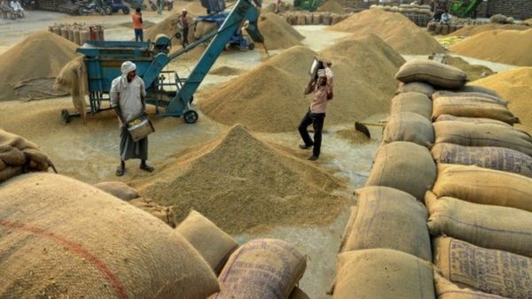 ಬರದಿಂದಾಗಿ ರಾಯಚೂರಲ್ಲಿ ಕುಸಿದ ಭತ್ತ ಇಳುವರಿ: ಇಲ್ಲಿನ ಮಾರುಕಟ್ಟೆಯಲ್ಲಿ ನೆರೆ ರಾಜ್ಯಗಳ ರೈತರದ್ದೇ ಹಾವಳಿ!