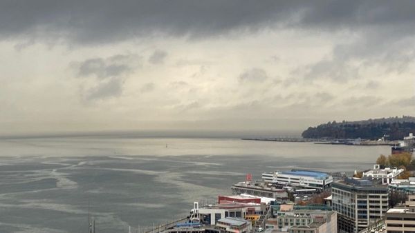 Rain Alert: ನವೆಂಬರ್ 18 ರ ವರೆಗೆ ಕರ್ನಾಟಕ ಸೇರಿದಂತೆ ದಕ್ಷಿಣ ಭಾರತದ ರಾಜ್ಯಗಳಲ್ಲಿ ಭಾರೀ ಮಳೆ- ವರದಿ, ವಿವರ ತಿಳಿಯಿರಿ