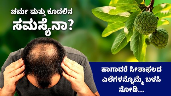 Custard Apple Leaves: ಚರ್ಮ ಮತ್ತು ಕೂದಲಿನ ಸಮಸ್ಯೆನಾ? ಹಾಗಾದರೆ ಸೀತಾಫಲದ ಎಲೆಗಳನ್ನೊಮ್ಮೆ ಬಳಸಿ ನೋಡಿ...